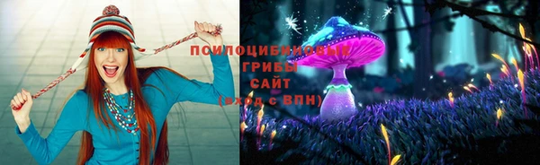 МДПВ Нефтегорск