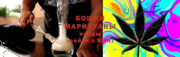 МДПВ Нефтегорск