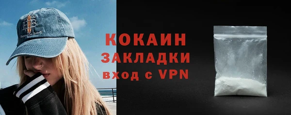 прущие грибы Нея