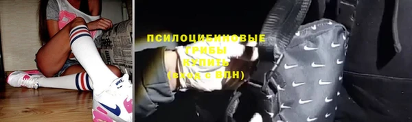МДПВ Нефтегорск