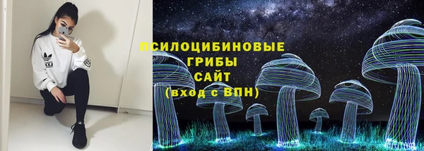 ПСИЛОЦИБИНОВЫЕ ГРИБЫ Навашино