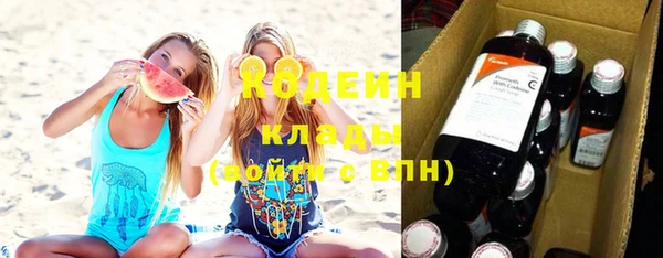 прущие грибы Нея
